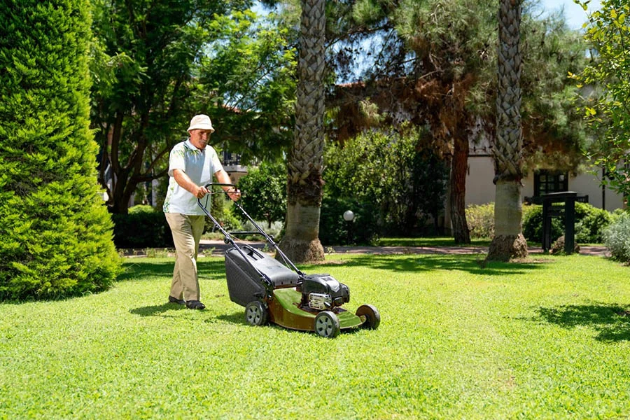 best corded lawn mower