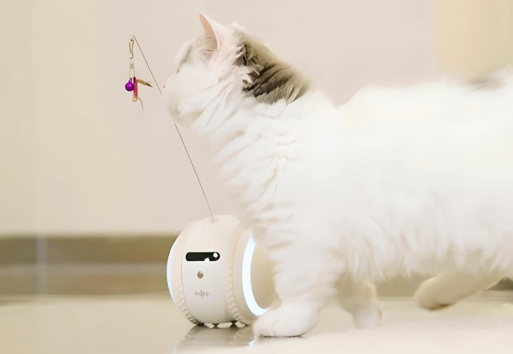 home camera for pets