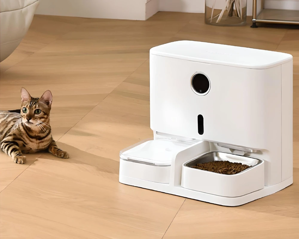 automatic cat feeder pets at home